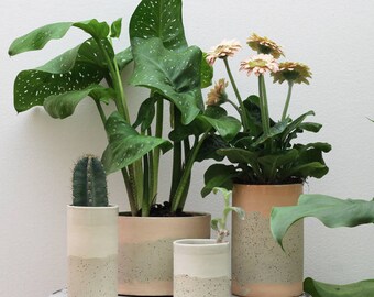 Pink plant pot indoor. Speckled ceramic planter pot. Speckled planter. Modern ceramics. Planters for succulents. Planter vase. Cactus. Green