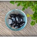 Tumbled Black Tourmaline