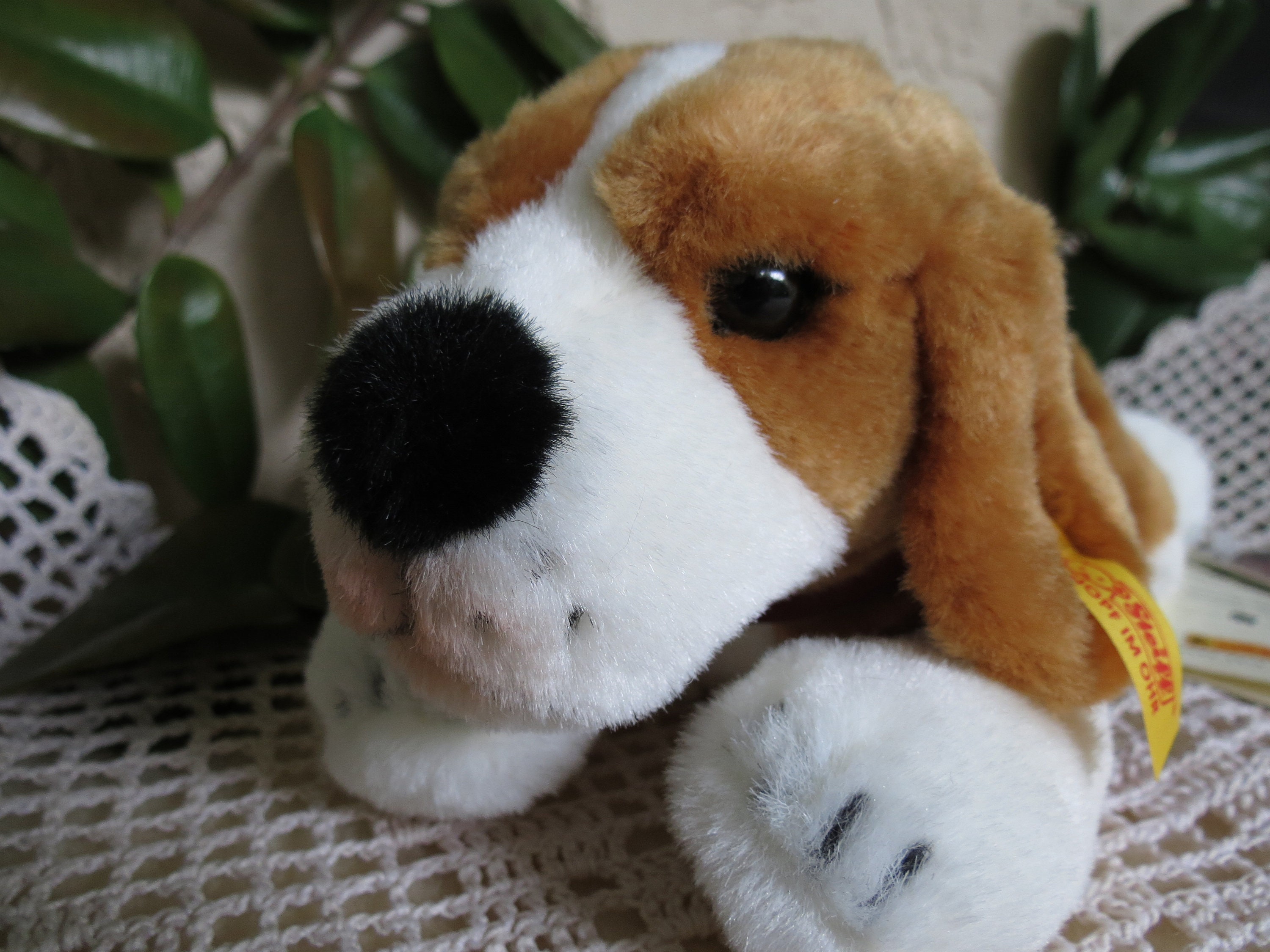 steiff beagle puppy