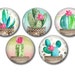 Lot 5 resin craft, round cabochons, 20 or 25 mm Cactus 01 choice