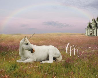 Unicorn and castle digital backdrop