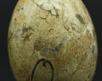 Polished Egg, Mineral Specimen for Sale