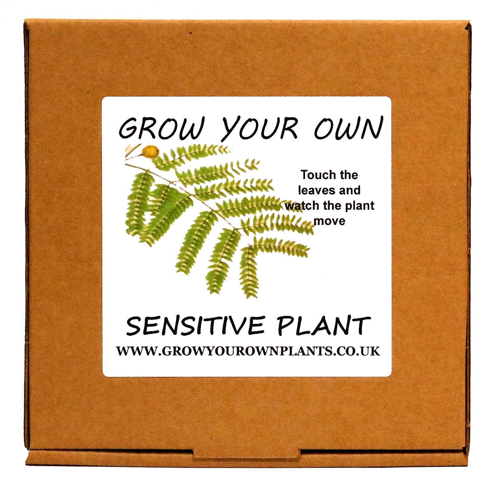 Grow Your Own Aztec Plant Kit Unusual Gardening Grow Your Own Aztec Plant Kit Unusual Gardening Gardeners Gift Growyourownplants
