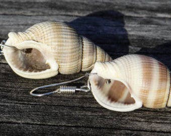 Natural shell earrings, mermaid earrings, surfer girl, beach bum, beachy boho jewellery, beach jewelry, natural chic