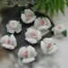 10 pcs Rose Flower Ceramic 12mm white w/pink centre