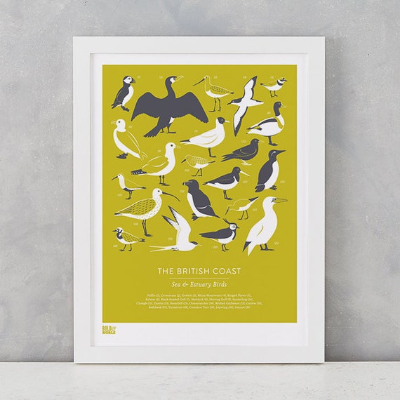 Bird Print, British Coast Birds Screen Print, Birds Art Print, Birds Wall Decor, Nature Wall Print, British Coast Screen Print Bird Print, British Coast Birds Screen Print, Birds Art Print, Birds Wall Decor, Nature Wall Print, British Coast Screen Print
