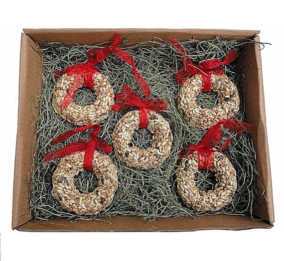 Christmas Wreath Bird Seed Ornament Gift Set