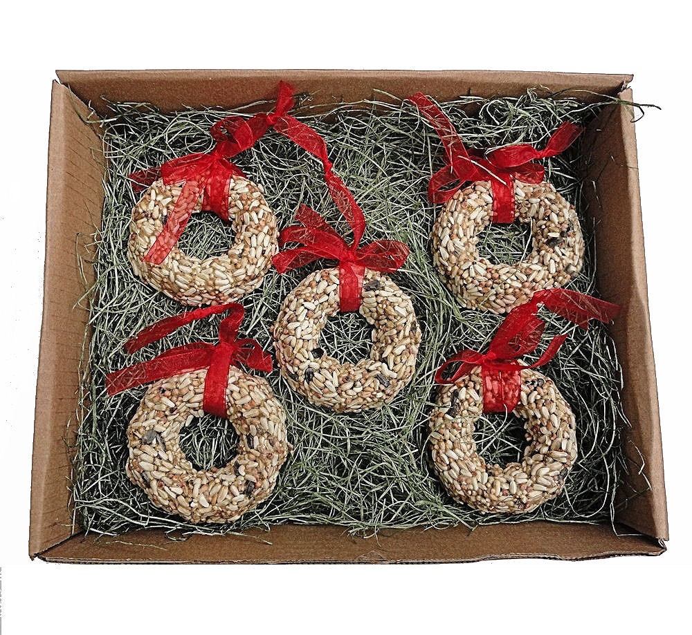 Christmas Wreath Bird Seed Ornament Gift Set