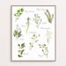 Culinary Herbs Printable Kitchen Art Herbs Collection Herbs