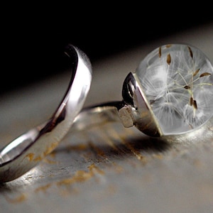 Sterling real dandelion wrap around Ring. 925 silver twisted ring with dandelion seeds in glass orb. Minimalist nature jewelry for her.