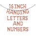 Balloon Banner, Rose Gold Balloon Wall Banner, 16" Balloon Banner, Letter Balloon Banner, Birthday Party Decor, Wedding Decor, Shower Decor