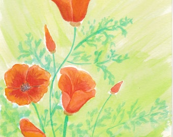 Original Watercolor Painting, California Poppies