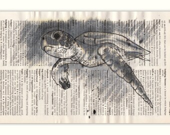 Loggerhead Turtle Greetings Card