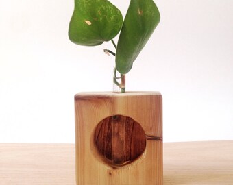 Lupine - Minimal Test Tube Bud Vase
