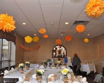 20 LARGE Tissue Paper Pom Poms