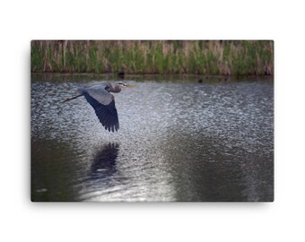 Blue Heron (on canvas)