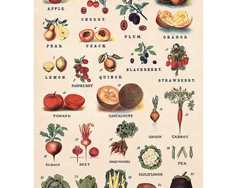 Fruits and Vegetables Wrapping Paper by Cavallini to Frame or Wrapping, Book Binding, Decoupage, Collage, Scrapbooking, Paper Arts PSS 3424