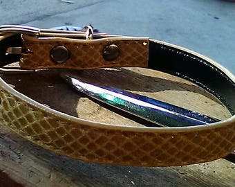 Gold snakeskin 13inch dog collar