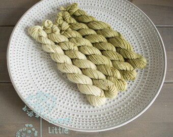 Set Mini DK skein - Beautiful hand dyed moss hank superwash merino wool