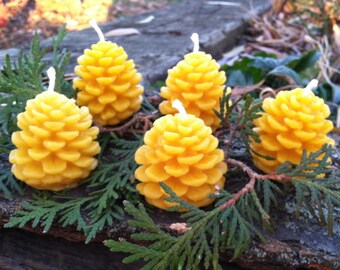 Beeswax Candles - Set of 5 Pinecones, 1.5" wide