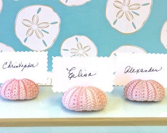 100 Seashell Place Card Holders - Natural Pink Sea Urchins - Beach Weddings, Beach Showers Beach Dinners coastal sea shells seashells shells