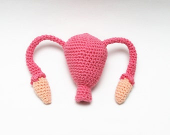 Uterus for all of us! - Faux Anatomical Lady Parts - Crochet / Knit / Stuffed Vagina, Uterus, Fallopian Tubes, Ovaries