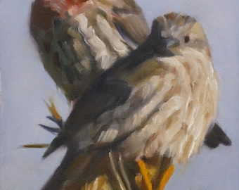 Bird art - lovebirds - finch • oil painting - original painting - Pamela Poll