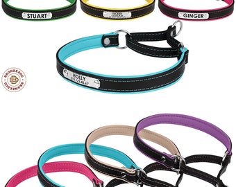 Martingale Dog Collar Personalized Leather Choke Collars for Dogs Padded Puppy Engraved Custom Small Medium Large Pink Blue Red Purple Beige