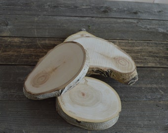 4 Unique Aspen tree slices ~ wood slices (WS7012)