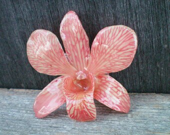 Free Shipping REAL Natural Medium Pink ORCHID in Poly Resin Pin and Pendant