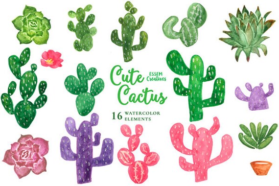 Download Succulent Watercolor Cactus Clipart Cute Baby Shower