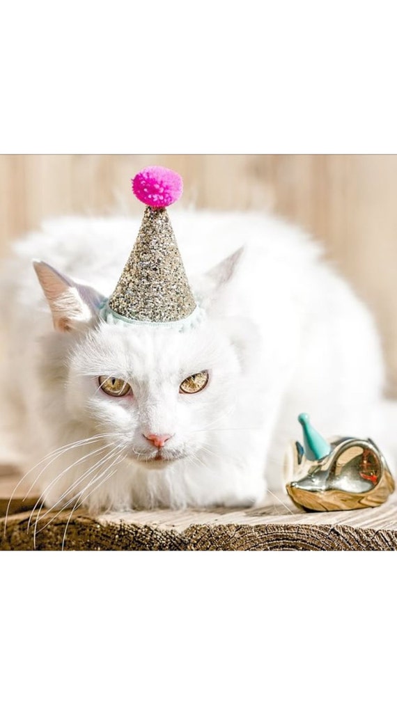 Cat Costume || Cat Birthday Hat || Cat || Cat Crown || Cat Costumes || Party Hat