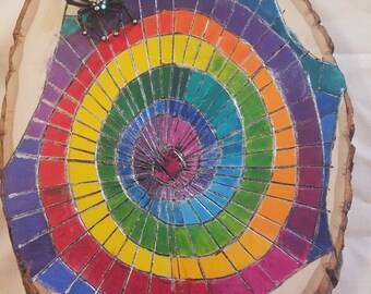 Even spiders dream in color!