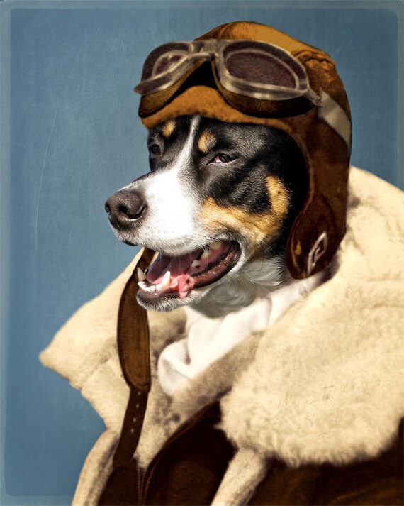 Dog Print Pet Portrait Pilot Flying Ace Avaitor Airplane
