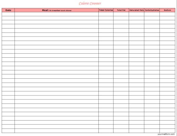 Fillable Digital Calorie Counter / PDF/ Digital Health forms/