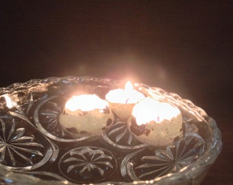 Quail Egg Shell Floating Candles - Set of 6