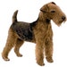 Lakeland Terrier Dog Counted Cross Stitch Pattern