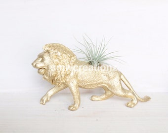 Custom X Large Lion Planter with Air Plant Room Decor- Dorm Room Decor