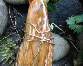 Petrified Wood Wire Wrapped Necklace