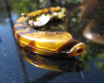 Petite, cute and old tortoiseshell bag clasp - bring it to life