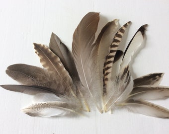 natural feathers-assorted feather-indian feather-Boho feathers-Millinery feathers-cruelty free feathers-Crafting Feathers - Bridal Feathers
