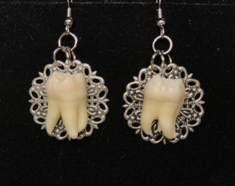 Genuine Human Molar Earrings