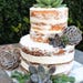 Succulent cuttings for wedding cakes.