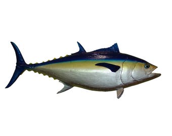 Bluefin tuna | Etsy