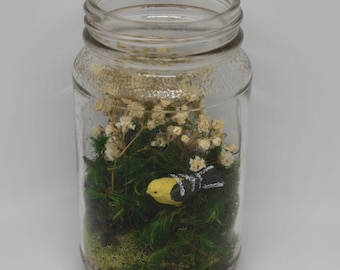 Moss Terrarium with Yellow Bird