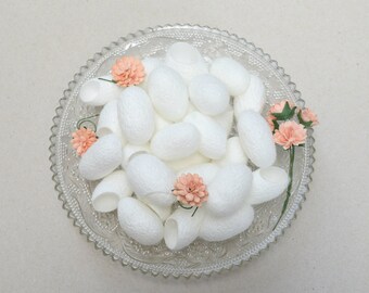 15 silk cocoons for Crafting , Handmade Accessories
