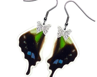 Real Butterfly Wing Earrings (Graphium Weiskei Hindwing - E072)