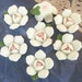 10 Pcs Pretty Lotus Flower Ceramic 14 mm , White / Pink Centre
