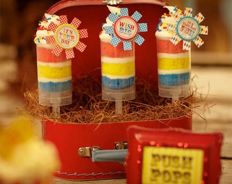 Push Up Pop Containers / Supplies / Cake Pops / Clear Push Pop Containers