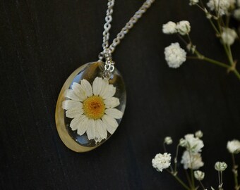 Terrarium jewelry Resin jewelry Chamomile jewelry Botanical jewelry Botanical resin necklace Nature Jewelry Resin flower necklace